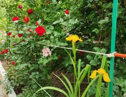 Дача  Цикада